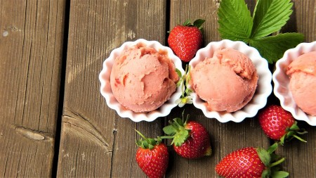 conseils sorbet maison